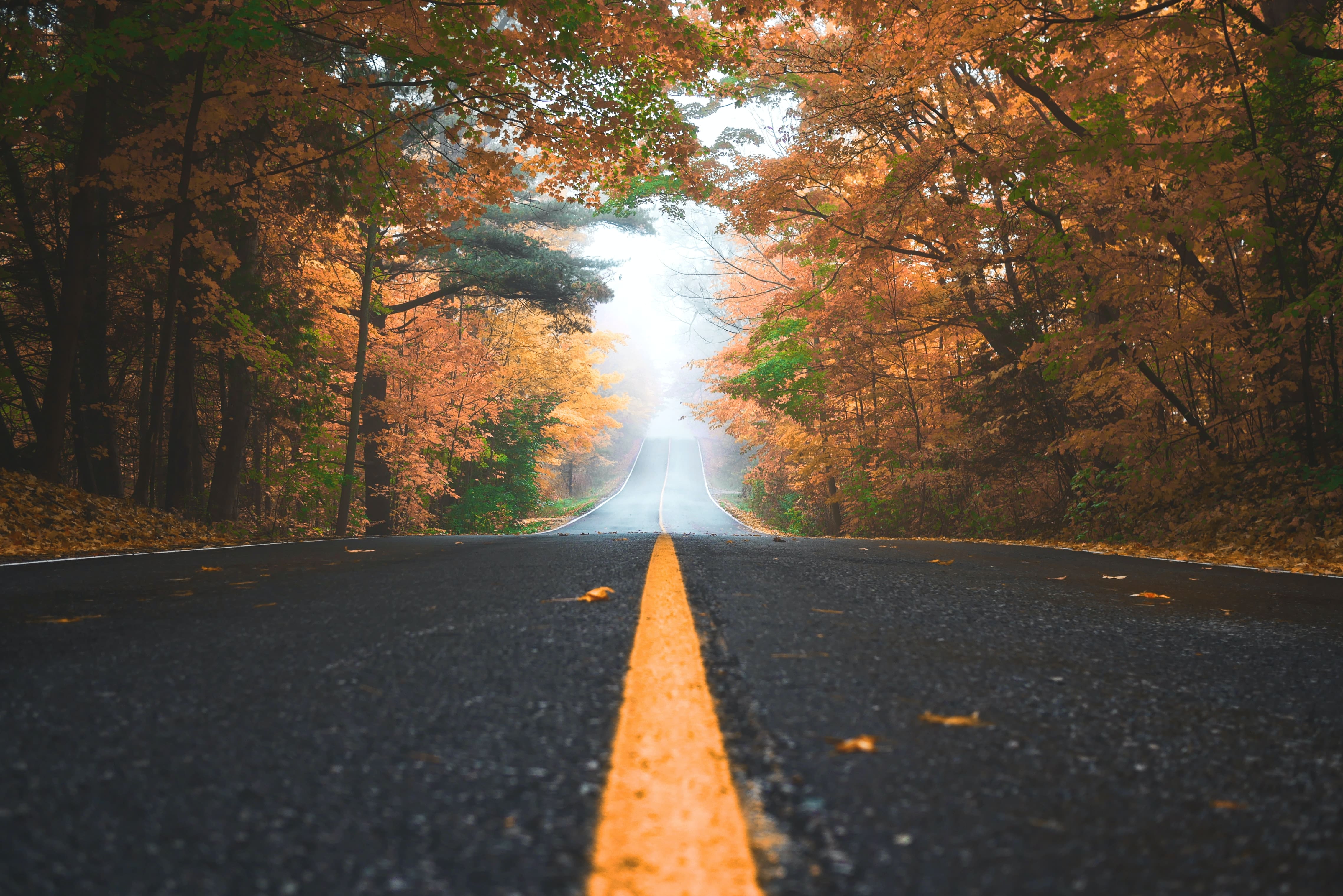 background_image